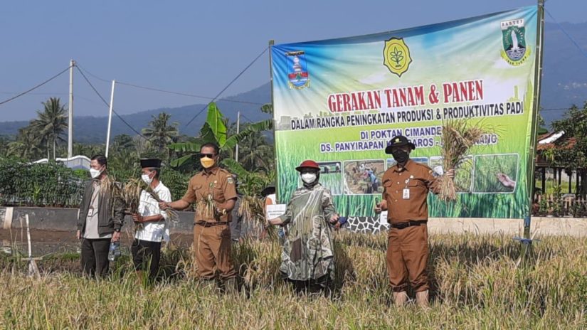 Provinsi Banten perluas lahan pertanian untuk meningkatkan ketahanan pangan. (Foto: Ist)
