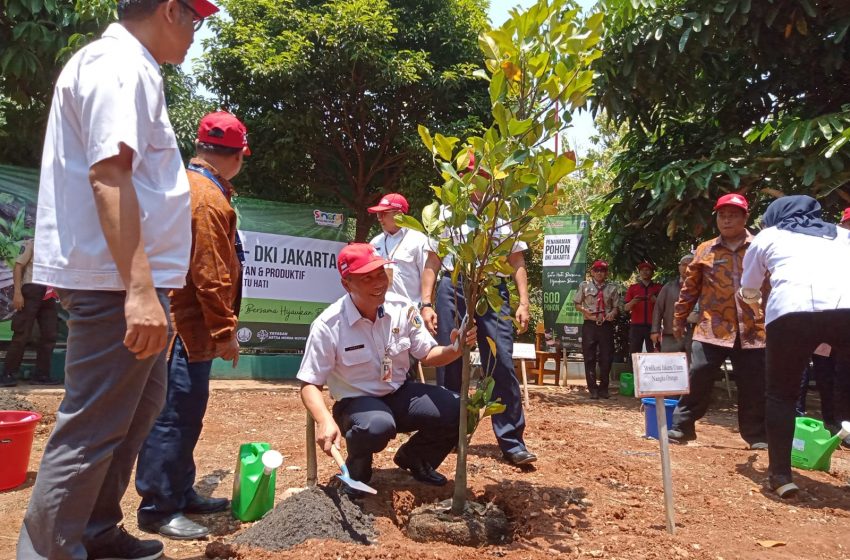  PT.AHM Distribusikan 600 Pohon di 12 Sekolah Binaan